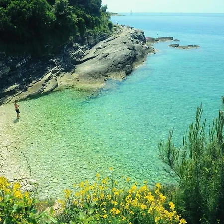 Apartman Andrea Pula